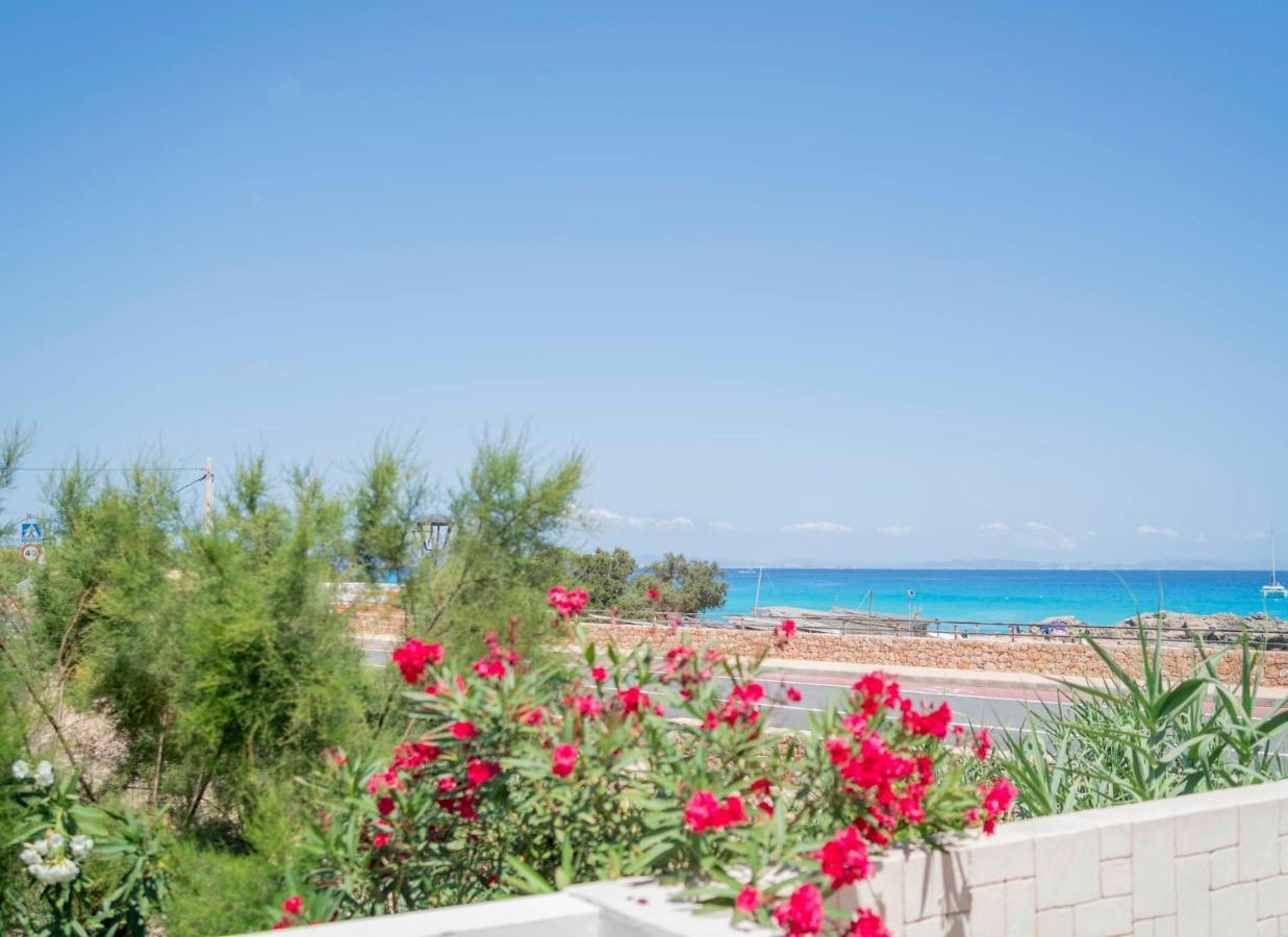 Cavall De Llevant - Formentera Break เอสกาโล ภายนอก รูปภาพ